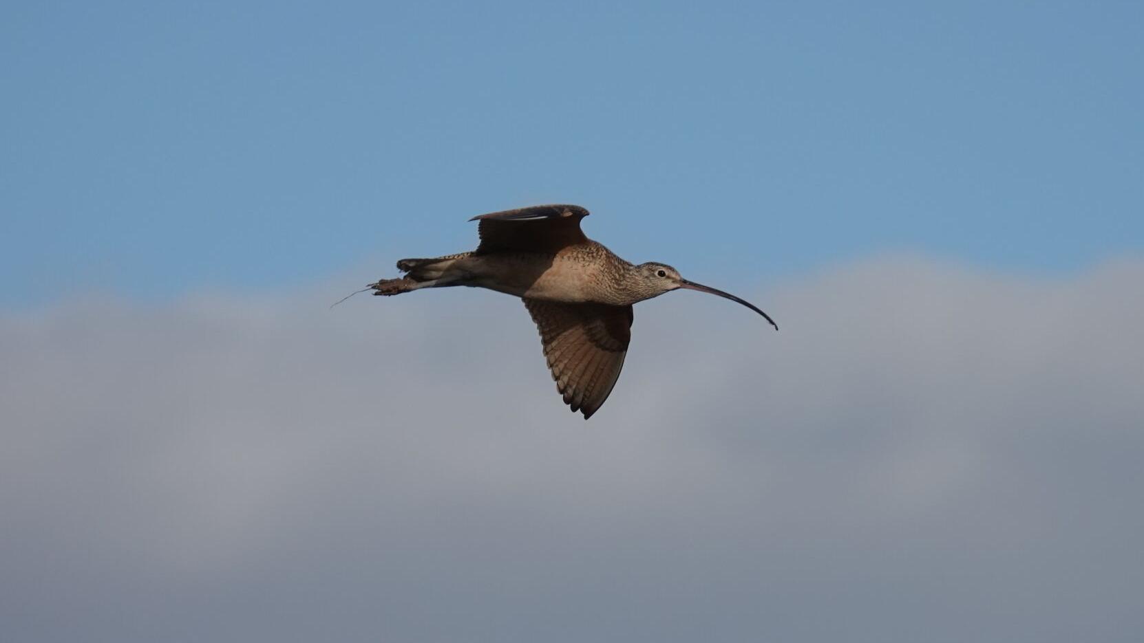 Some public lands are going to cost to gain access